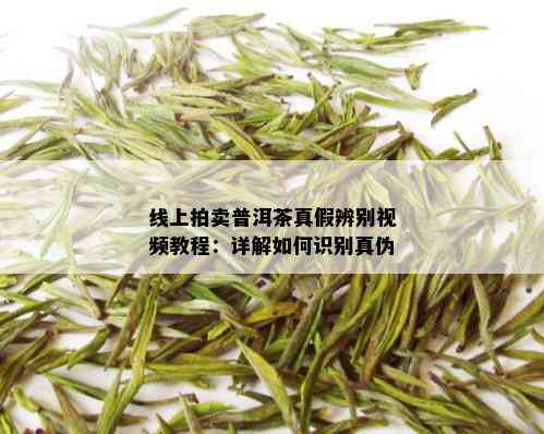 线上拍卖普洱茶真假辨别视频教程：详解如何识别真伪