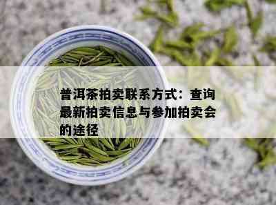 普洱茶拍卖联系方式：查询最新拍卖信息与参加拍卖会的途径