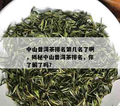 中山普洱茶排名第几名了啊，揭秘中山普洱茶排名，你了解了吗？