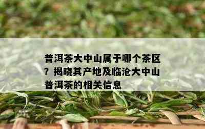 普洱茶大中山属于哪个茶区？揭晓其产地及临沧大中山普洱茶的相关信息