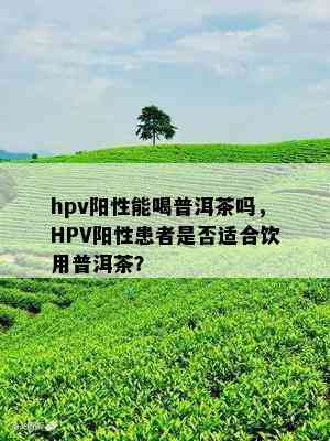 hpv阳性能喝普洱茶吗，HPV阳性患者是否适合饮用普洱茶？