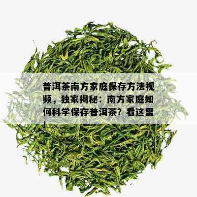 普洱茶南方家庭保存方法视频，独家揭秘：南方家庭如何科学保存普洱茶？看这里！