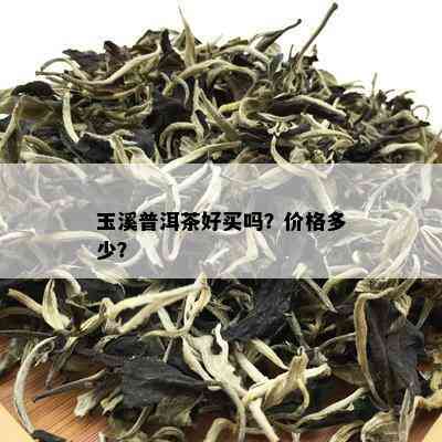 玉溪普洱茶好买吗？价格多少？