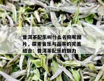 普洱茶配乐叫什么名称呢图片，探索音乐与品茶的完美结合：普洱茶配乐的魅力