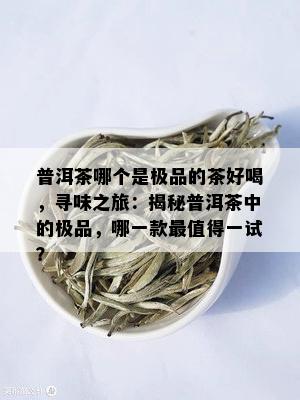 普洱茶哪个是极品的茶好喝，寻味之旅：揭秘普洱茶中的极品，哪一款最值得一试？