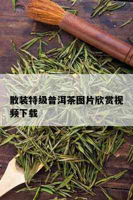 散装特级普洱茶图片欣赏视频下载