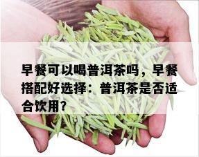 早餐可以喝普洱茶吗，早餐搭配好选择：普洱茶是否适合饮用？