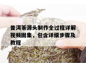 普洱茶源头制作全过程详解视频图集，包含详细步骤及教程