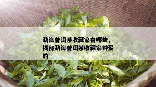 勐海普洱茶收藏家有哪些，揭秘勐海普洱茶收藏家钟爱的