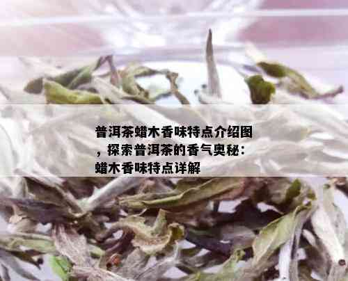 普洱茶蜡木香味特点介绍图，探索普洱茶的香气奥秘：蜡木香味特点详解