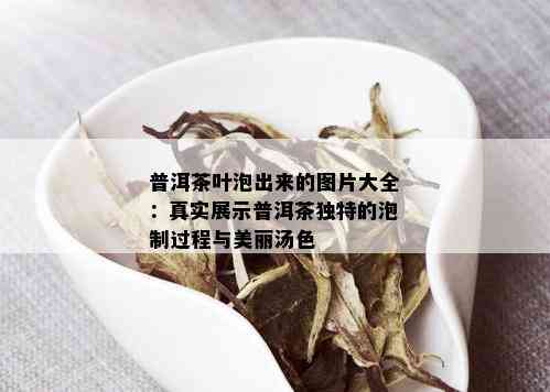 普洱茶叶泡出来的图片大全：真实展示普洱茶独特的泡制过程与美丽汤色