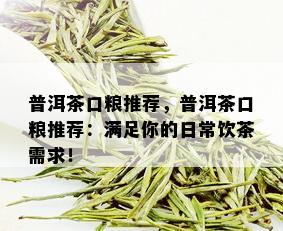 普洱茶口粮推荐，普洱茶口粮推荐：满足你的日常饮茶需求！