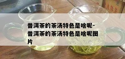 普洱茶的茶汤特色是啥呢-普洱茶的茶汤特色是啥呢图片