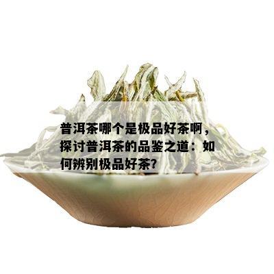 普洱茶哪个是极品好茶啊，探讨普洱茶的品鉴之道：如何辨别极品好茶？