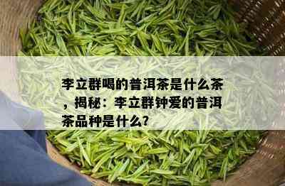 李立群喝的普洱茶是什么茶，揭秘：李立群钟爱的普洱茶品种是什么？