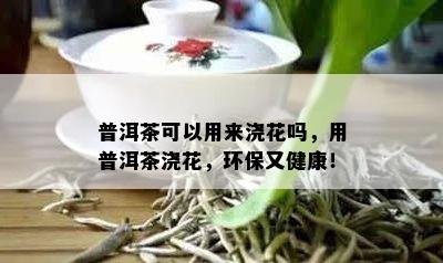 普洱茶可以用来浇花吗，用普洱茶浇花，环保又健康！