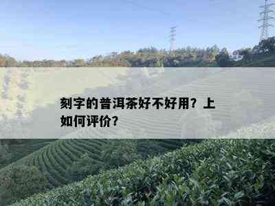 刻字的普洱茶好不好用？上如何评价？