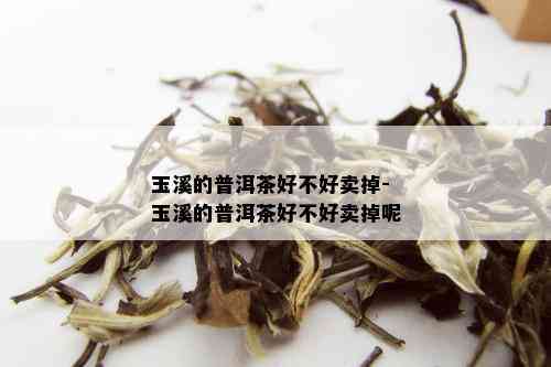 玉溪的普洱茶好不好卖掉-玉溪的普洱茶好不好卖掉呢