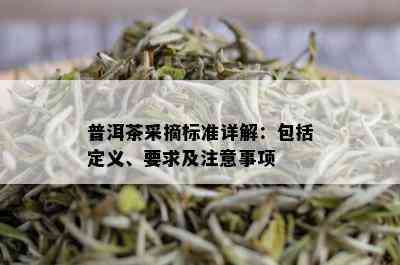 普洱茶采摘标准详解：包括定义、要求及注意事项