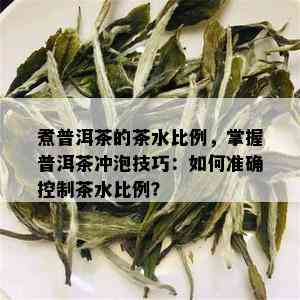 煮普洱茶的茶水比例，掌握普洱茶冲泡技巧：如何准确控制茶水比例？