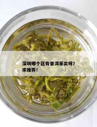 深圳哪个区有普洱茶卖呀？求推荐！