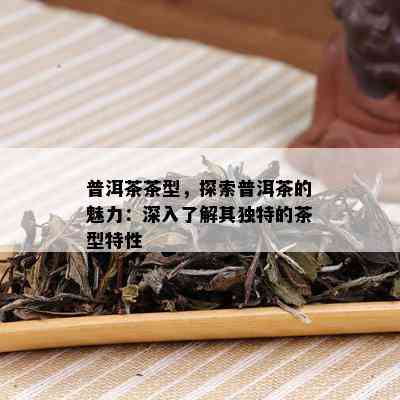 普洱茶茶型，探索普洱茶的魅力：深入了解其独特的茶型特性