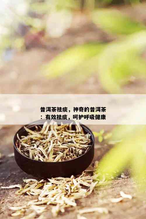 普洱茶祛痰，神奇的普洱茶：有效祛痰，呵护呼吸健康