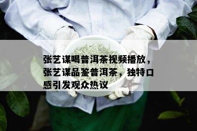 张艺谋喝普洱茶视频播放，张艺谋品鉴普洱茶，独特口感引发观众热议