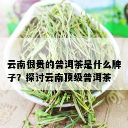 云南很贵的普洱茶是什么牌子？探讨云南顶级普洱茶