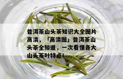 普洱茶山头茶知识大全图片高清，「高清图」普洱茶山头茶全知道，一次看懂各大山头茶叶特点！