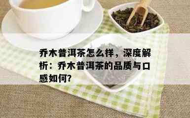 乔木普洱茶怎么样，深度解析：乔木普洱茶的品质与口感如何？