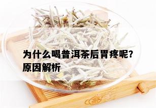 为什么喝普洱茶后胃疼呢？原因解析