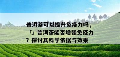 普洱茶可以提升免疫力吗，「」普洱茶能否增强免疫力？探讨其科学依据与效果