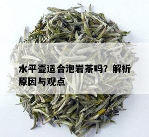 水平壶适合泡岩茶吗？解析原因与观点