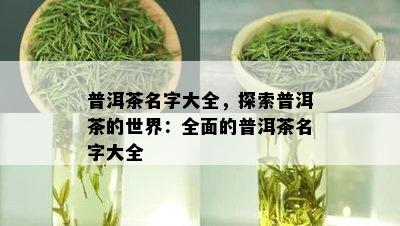 普洱茶名字大全，探索普洱茶的世界：全面的普洱茶名字大全