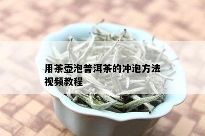 用茶壶泡普洱茶的冲泡方法视频教程