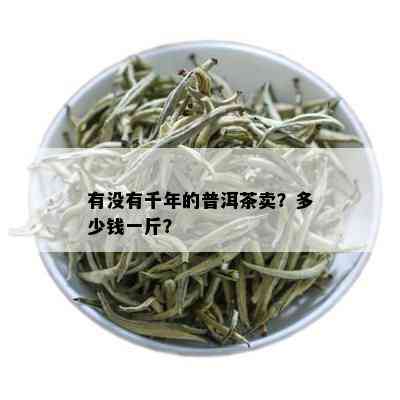 有没有千年的普洱茶卖？多少钱一斤？