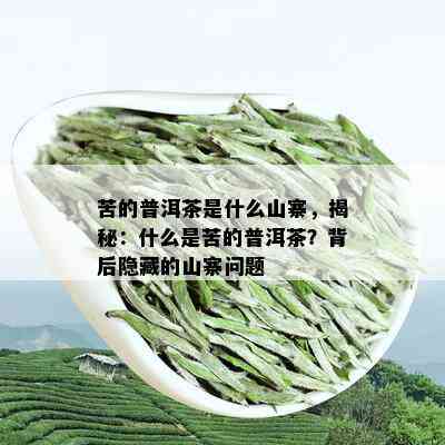 苦的普洱茶是什么山寨，揭秘：什么是苦的普洱茶？背后隐藏的山寨问题