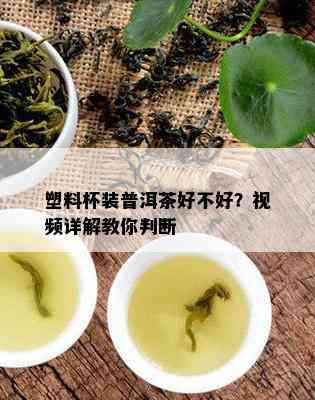 塑料杯装普洱茶好不好？视频详解教你判断