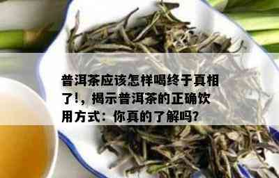 普洱茶应该怎样喝终于真相了!，揭示普洱茶的正确饮用方式：你真的了解吗？