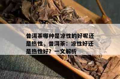 普洱茶哪种是凉性的好呢还是热性，普洱茶：凉性好还是热性好？一文解析