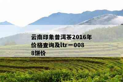 云南印象普洱茶2016年价格查询及ltr一0088饼价