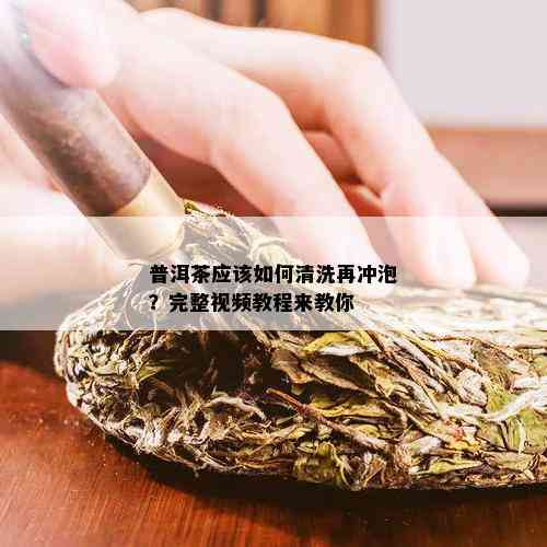 普洱茶应该如何清洗再冲泡？完整视频教程来教你