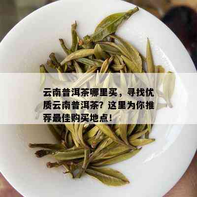 云南普洱茶哪里买，寻找优质云南普洱茶？这里为你推荐更佳购买地点！