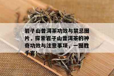 岩子山普洱茶功效与禁忌图片，探索岩子山普洱茶的神奇功效与注意事项，一图胜千言！