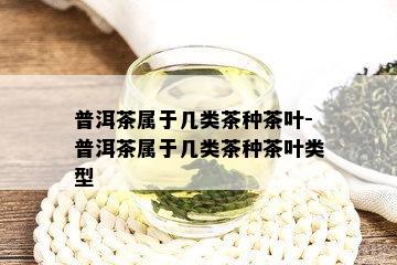 普洱茶属于几类茶种茶叶-普洱茶属于几类茶种茶叶类型