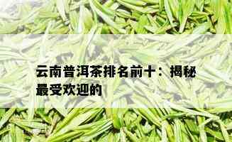 云南普洱茶排名前十：揭秘更受欢迎的