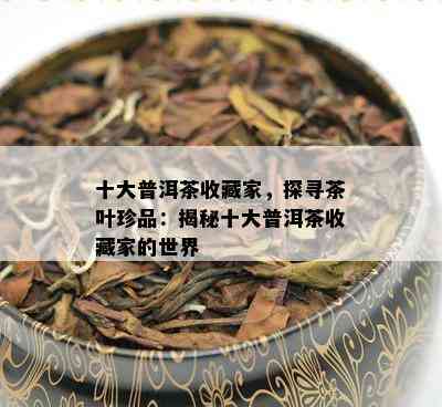 十大普洱茶收藏家，探寻茶叶珍品：揭秘十大普洱茶收藏家的世界