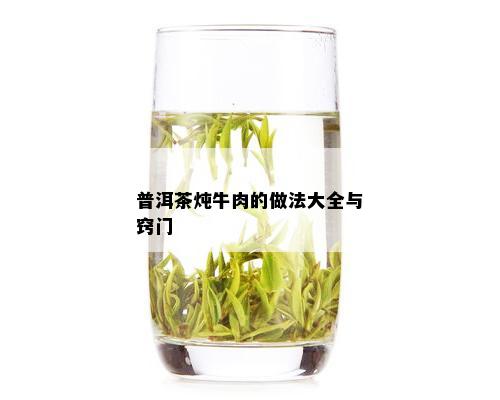 普洱茶炖牛肉的做法大全与窍门