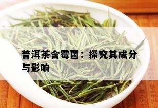 普洱茶含霉菌：探究其成分与影响